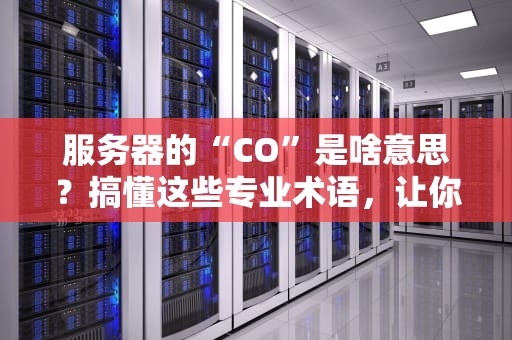 服务器的“CO”是啥意思？搞懂这些专业术语，让你秒变服务器老司机！