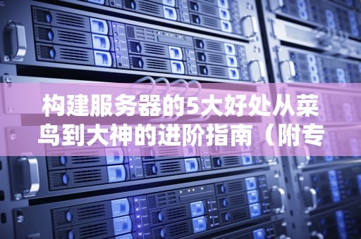 构建服务器的5大好处从菜鸟到大神的进阶指南（附专业测评）