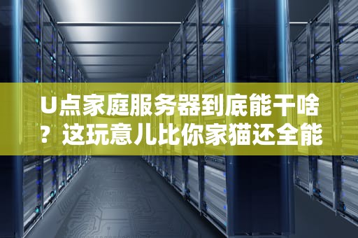 U点家庭服务器到底能干啥？这玩意儿比你家猫还全能！