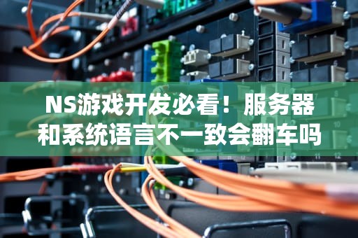 NS游戏开发必看！服务器和系统语言不一致会翻车吗？老司机实测真相