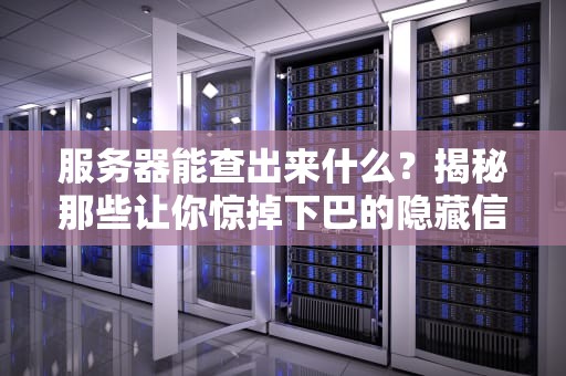 服务器能查出来什么？揭秘那些让你惊掉下巴的隐藏信息！