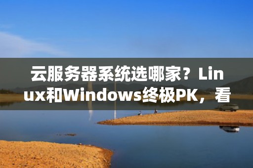 云服务器系统选哪家？Linux和Windows终极PK，看完秒变老司机！