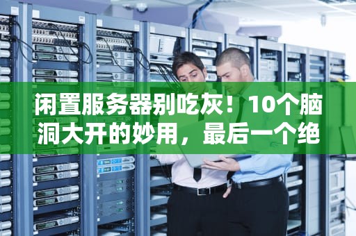 闲置服务器别吃灰！10个脑洞大开的妙用，最后一个绝了！