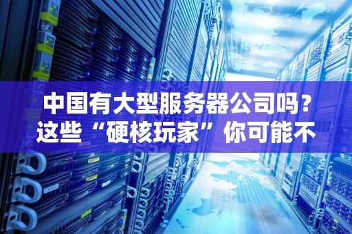 中国有大型服务器公司吗？这些“硬核玩家”你可能不知道！