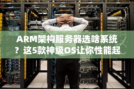 ARM架构服务器选啥系统？这5款神级OS让你性能起飞！