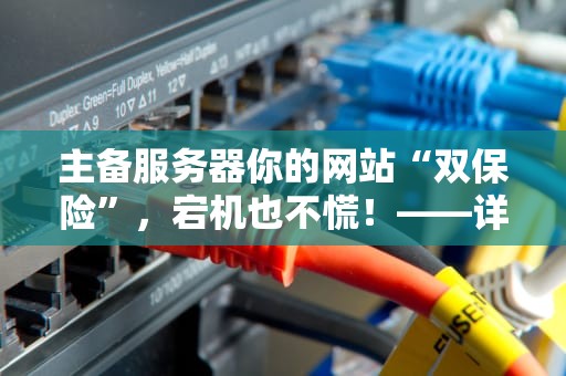 主备服务器你的网站“双保险”，宕机也不慌！——详解主备服务器的妙用与实战案例
