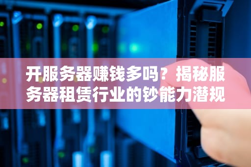 开服务器赚钱多吗？揭秘服务器租赁行业的钞能力潜规则！