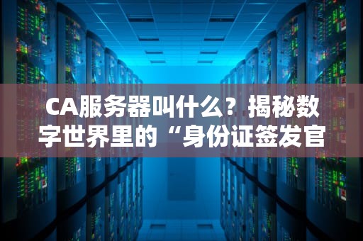 CA服务器叫什么？揭秘数字世界里的“身份证签发官”