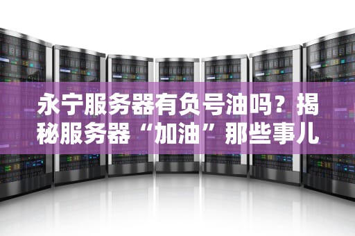 永宁服务器有负号油吗？揭秘服务器“加油”那些事儿！