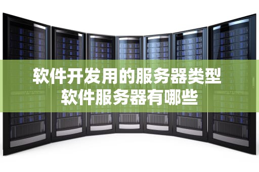软件开发用的服务器类型 软件服务器有哪些