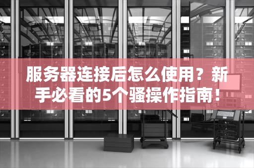 服务器连接后怎么使用？新手必看的5个骚操作指南！