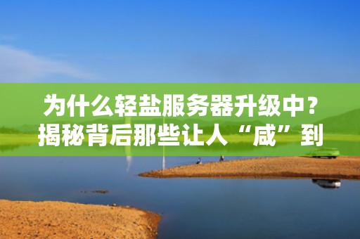 为什么轻盐服务器升级中？揭秘背后那些让人“咸”到不行的技术内幕！