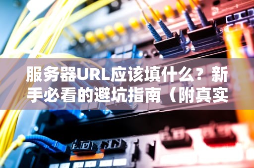 服务器URL应该填什么？新手必看的避坑指南（附真实案例）