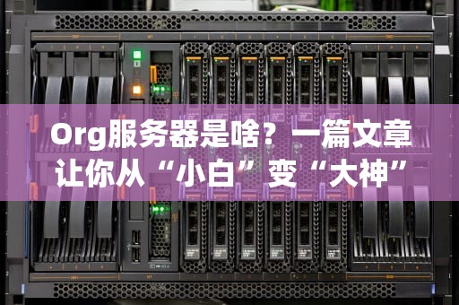 Org服务器是啥？一篇文章让你从“小白”变“大神”！（附专业测评）