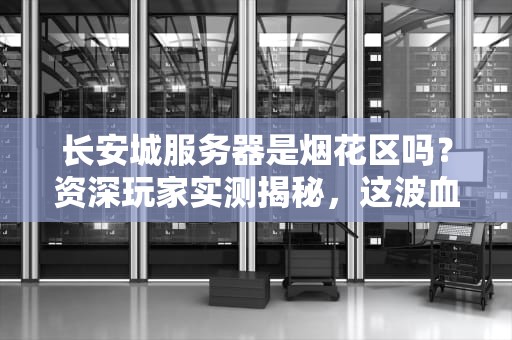 长安城服务器是烟花区吗？资深玩家实测揭秘，这波血赚还是血亏？