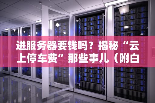 进服务器要钱吗？揭秘“云上停车费”那些事儿（附白嫖攻略）