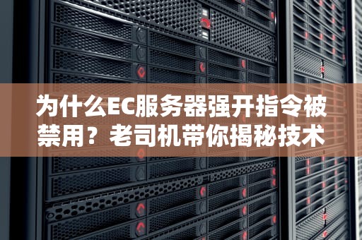为什么EC服务器强开指令被禁用？老司机带你揭秘技术圈的交通管制