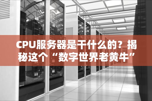 CPU服务器是干什么的？揭秘这个“数字世界老黄牛”的日常！