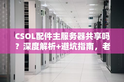 CSOL配件主服务器共享吗？深度解析+避坑指南，老司机带你飞！