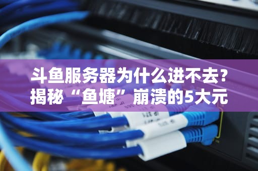 斗鱼服务器为什么进不去？揭秘“鱼塘”崩溃的5大元凶！