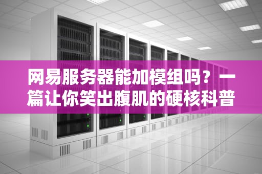 网易服务器能加模组吗？一篇让你笑出腹肌的硬核科普！