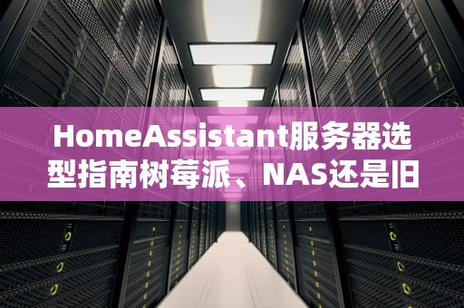 HomeAssistant服务器选型指南树莓派、NAS还是旧电脑？小白也能看懂的专业测评！