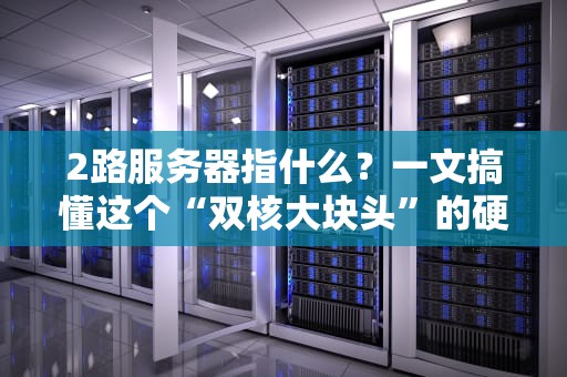 2路服务器指什么？一文搞懂这个“双核大块头”的硬核实力！