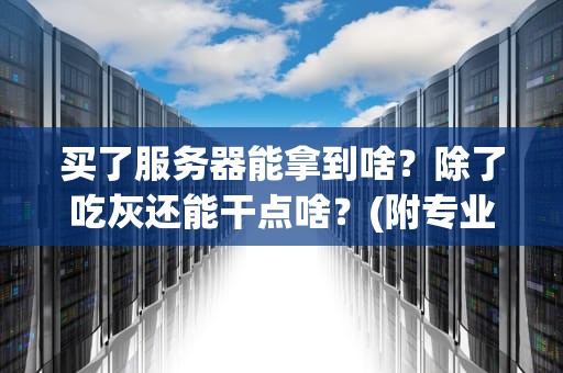 买了服务器能拿到啥？除了吃灰还能干点啥？(附专业测评指南)