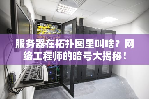 服务器在拓扑图里叫啥？网络工程师的暗号大揭秘！