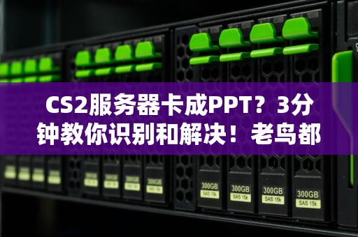 CS2服务器卡成PPT？3分钟教你识别和解决！老鸟都踩过的坑在这