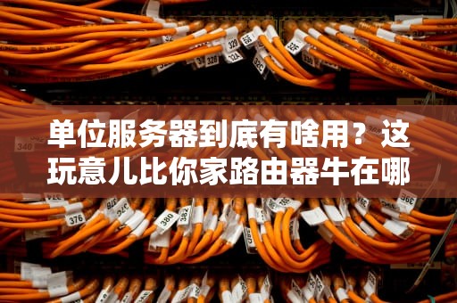 单位服务器到底有啥用？这玩意儿比你家路由器牛在哪？