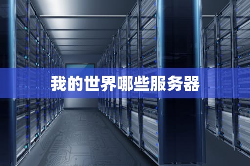 我的世界哪些服务器