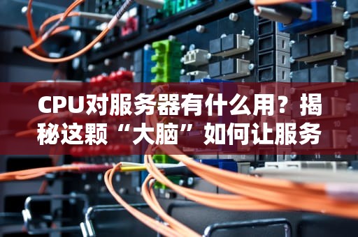 CPU对服务器有什么用？揭秘这颗“大脑”如何让服务器起飞！