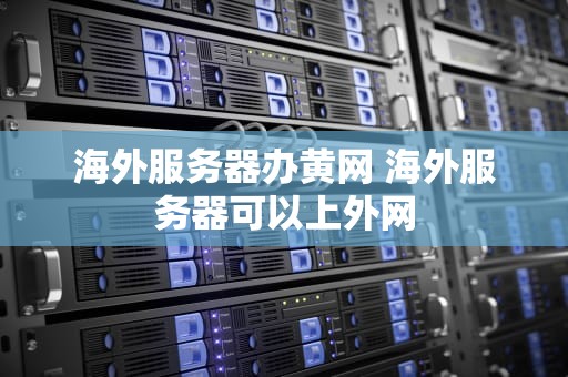 海外服务器办黄网 海外服务器可以上外网