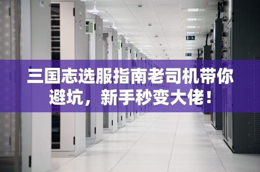 三国志选服指南老司机带你避坑，新手秒变大佬！