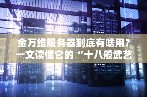 金万维服务器到底有啥用？一文读懂它的“十八般武艺”！（附真实测评）