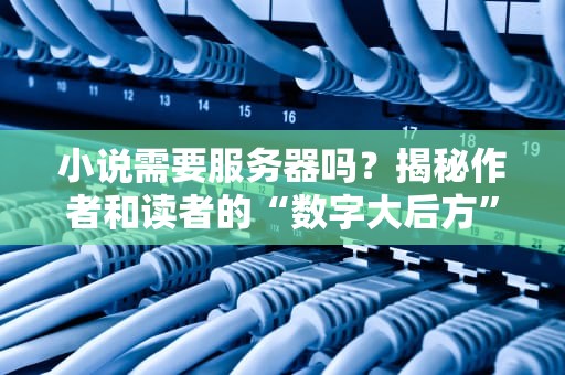 小说需要服务器吗？揭秘作者和读者的“数字大后方”