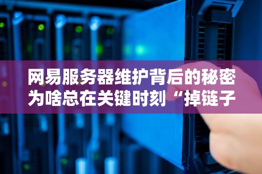 网易服务器维护背后的秘密为啥总在关键时刻“掉链子”？