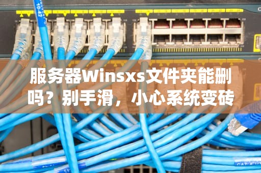 服务器Winsxs文件夹能删吗？别手滑，小心系统变砖头！