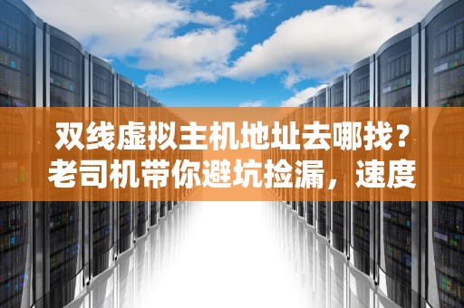 双线虚拟主机地址去哪找？老司机带你避坑捡漏，速度起飞！