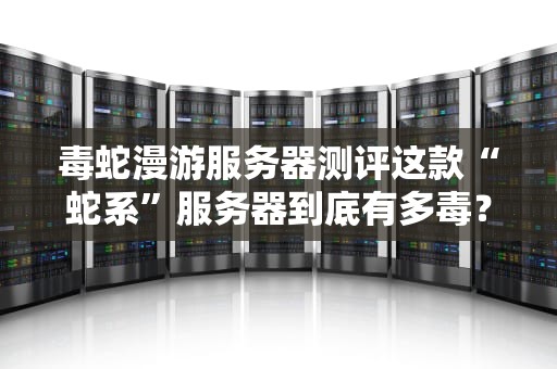 毒蛇漫游服务器测评这款“蛇系”服务器到底有多毒？