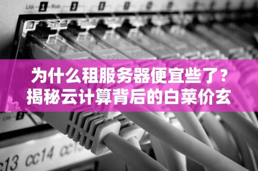 为什么租服务器便宜些了？揭秘云计算背后的白菜价玄机