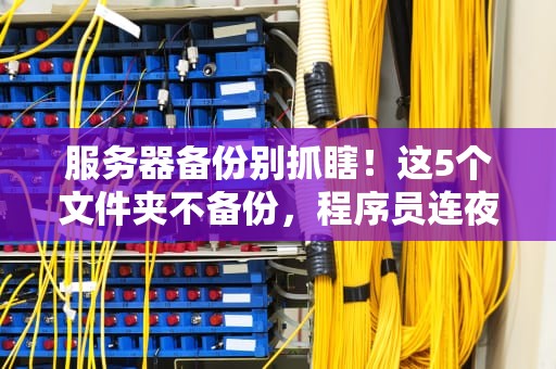 服务器备份别抓瞎！这5个文件夹不备份，程序员连夜跑路！