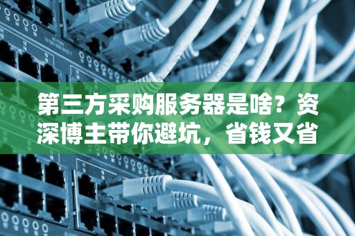 第三方采购服务器是啥？资深博主带你避坑，省钱又省心！