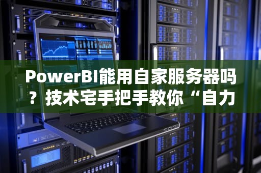 PowerBI能用自家服务器吗？技术宅手把手教你“自力更生”搞数据分析！