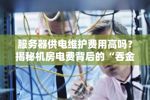 服务器供电维护费用高吗？揭秘机房电费背后的“吞金兽”