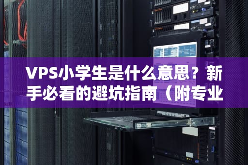 VPS小学生是什么意思？新手必看的避坑指南（附专业测评）