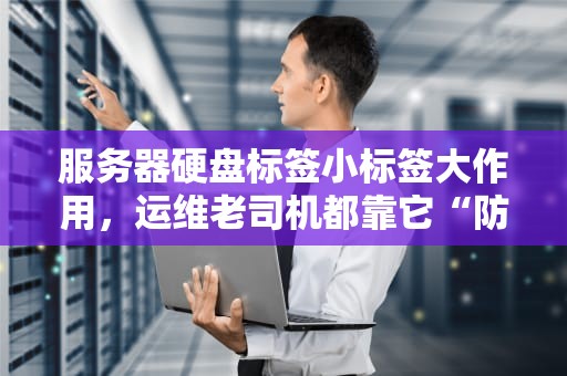 服务器硬盘标签小标签大作用，运维老司机都靠它“防翻车”！