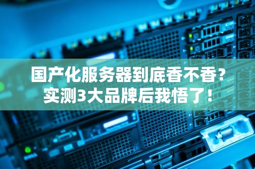 国产化服务器到底香不香？实测3大品牌后我悟了！