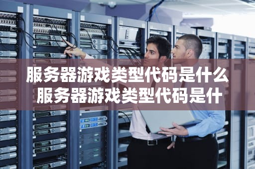 服务器游戏类型代码是什么 服务器游戏类型代码是什么意思